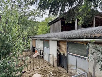 9-Zimmer-Grundstück kaufen in Weiz – 220 m², € 697.000 – Bild 46 von 52