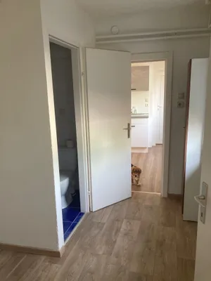 2-Zimmer-Wohnung mieten in Weiz – 50 m², € 440 – Bild 3 von 6