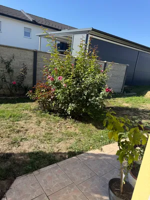 2-Zimmer-Wohnung mieten in Südoststeiermark – 60 m², € 700 – Bild 14 von 15
