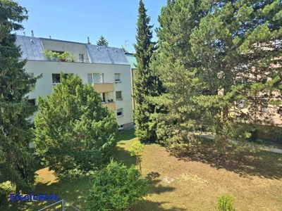 4-Zimmer-Wohnung mieten in Wien – 100 m², € 1.675 – Bild 26 von 27