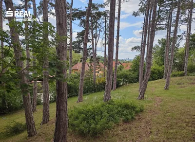Grundstück kaufen in Mödling – 1 550 m², € 890.000 – Bild 9 von 13