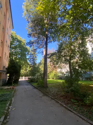 3-Zimmer-Wohnung mieten in Salzburg Stadt – 76 m², € 1.650 – Bild 10 von 10