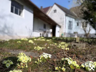 6-Zimmer-Haus kaufen in Melk – 186 m², € 219.000 – Bild 34 von 46