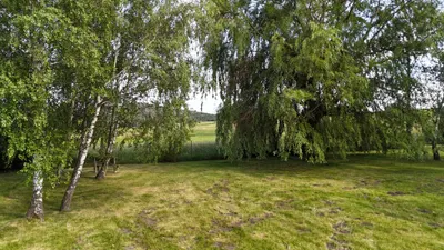 7-Zimmer-Haus kaufen in Wiener Neustadt Land – 205 m², € 595.000 – Bild 28 von 28