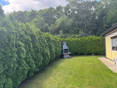 2-Zimmer-Haus kaufen in Wiener Neustadt Land – 55 m², € 275.000 – Bild 12 von 22