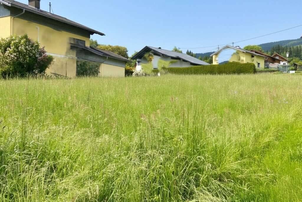 Traumhaftes Grundstück in Mühldorf, Kärnten - Ihr Platz für 120.000 EUR! - Ansicht 3