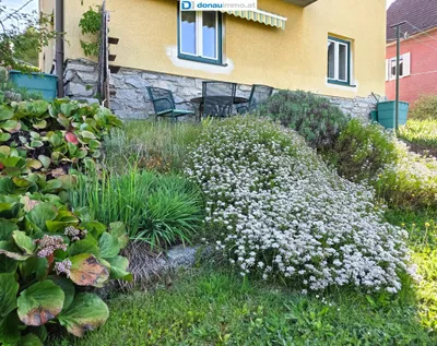 4-Zimmer-Immobilie kaufen in Waidhofen an der Thaya – 94 m², € 198.000 – Bild 31 von 35