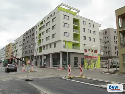 Schenk-Danzinger-Gasse 12/6/13