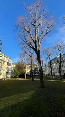 3-Zimmer-Wohnung kaufen in Baden – 101 m², € 299.999 – Bild 13 von 15
