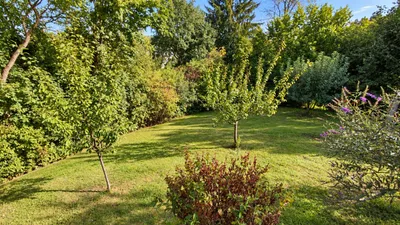 8-Zimmer-Haus kaufen in Güssing – 223 m², € 749.000 – Bild 18 von 21