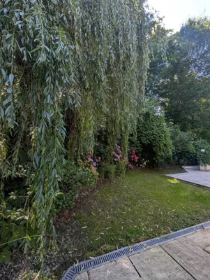 6-Zimmer-Haus kaufen in Sankt Pölten Land – 179,64 m², € 1.690.000 – Bild 40 von 55