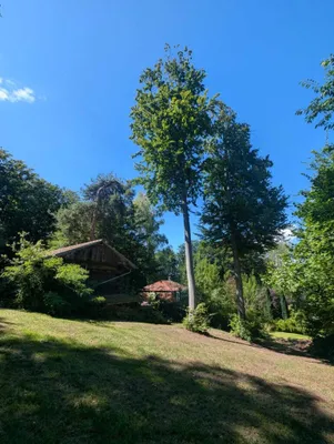 6-Zimmer-Haus kaufen in Sankt Pölten Land – 179,64 m², € 1.690.000 – Bild 44 von 55
