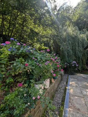 6-Zimmer-Haus kaufen in Sankt Pölten Land – 179,64 m², € 1.690.000 – Bild 39 von 55
