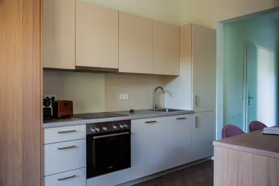 Serviced Apartment with Terrace in a Green Setting - Pötzleinsdorf (07) – Bild 3