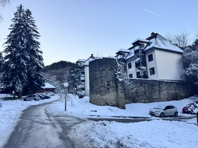 1-Zimmer-Wohnung mieten in Graz-Umgebung – 28 m², € 401 – Bild 7 von 7