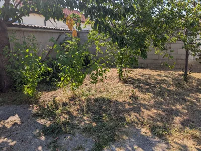Haus mieten in Neusiedl am See – 196,28 m², € 895 – Bild 10 von 29