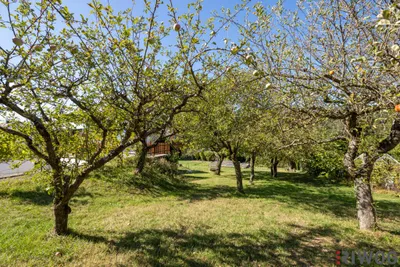 11-Zimmer-Gewerbeimmobilie kaufen in Sankt Pölten Land – 221,12 m², € 795.000 – Bild 11 von 79