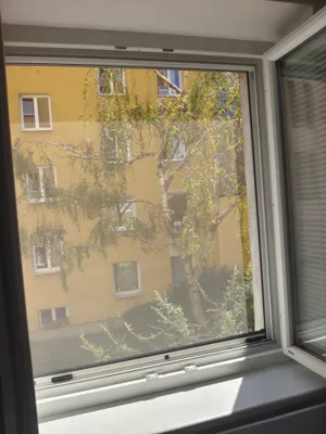 1-Zimmer-Wohnung mieten in Wien – 33 m², € 670 – Bild 15 von 16