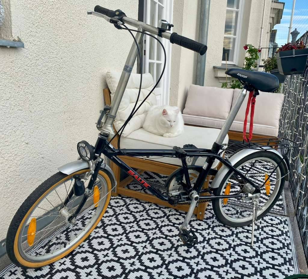 fahrrad pegasus solero Pegasus Solero EVO 5R Belt schwarz | 800WH | E-Bike Damen City