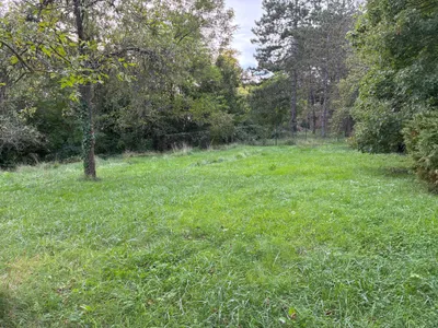 Grundstück kaufen in Mödling – 2 076 m², € 1.860.000 – Bild 9 von 10