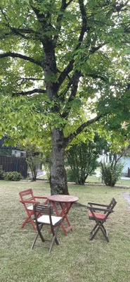 7-Zimmer-Haus kaufen in Gmunden – 178 m², € 790.000 – Bild 7 von 31