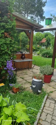 14-Zimmer-Gewerbeimmobilie kaufen in Wiener Neustadt Land – 338 m², € 799.000 – Bild 5 von 6