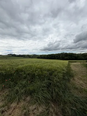 Grundstück kaufen in Schärding – 83 562 m² – Bild 5 von 5