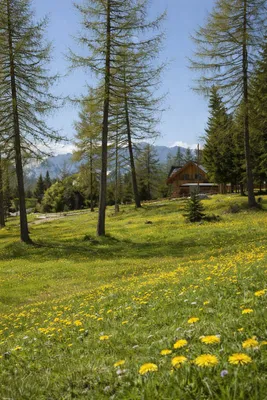 Grundstück kaufen in Spittal an der Drau – 728 m², € 298.500 – Bild 6 von 16
