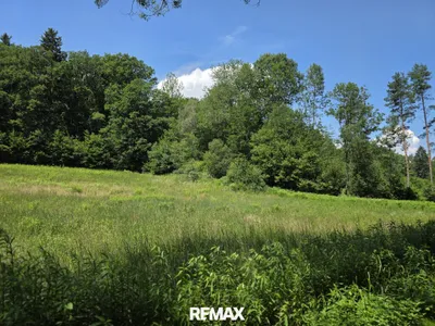 Grundstück kaufen in Güssing – 6 785 m², € 19.500 – Bild 5 von 7