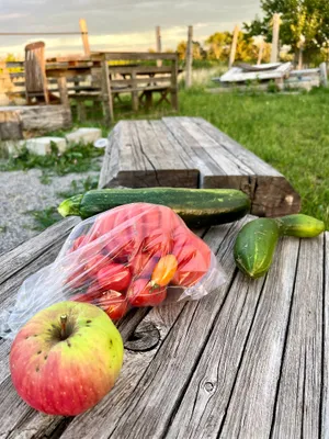 Grundstück kaufen in Neusiedl am See – 1 485 m², € 39.000 – Bild 9 von 19