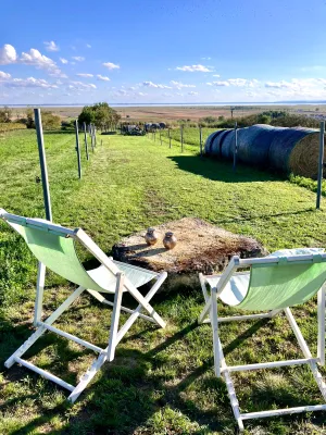 Grundstück kaufen in Neusiedl am See – 1 485 m², € 39.000 – Bild 7 von 19