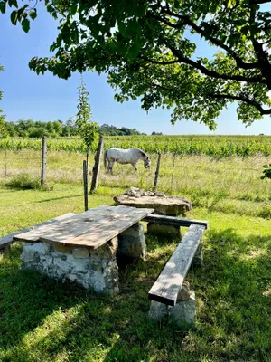 Grundstück kaufen in Neusiedl am See – 1 485 m², € 39.000 – Bild 8 von 19