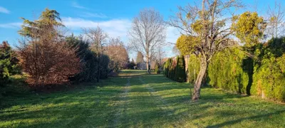 Grundstück kaufen in Oberpullendorf – 1 335 m², € 98.000 – Bild 3 von 5