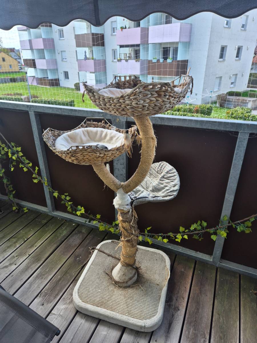 Kratzbaum zu verschenken,  0,- (4070 Eferding) - willhaben