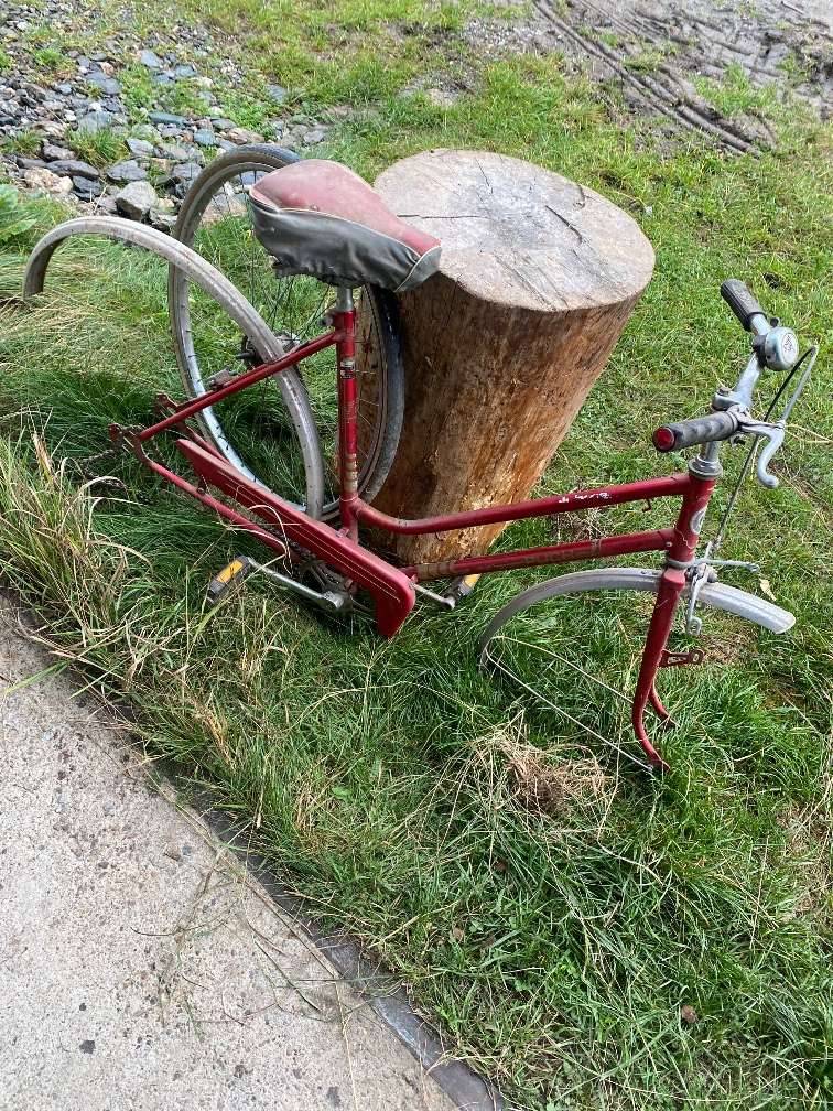 Fahrradrahmen kaufen - willhaben