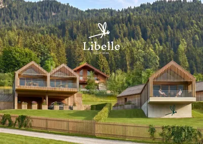 3-Zimmer-Wohnung kaufen in Spittal an der Drau – 126,59 m², € 1.393.000 – Bild 5 von 12