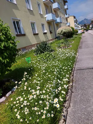 2-Zimmer-Wohnung mieten in Gmunden – 58,31 m², € 477 – Bild 5 von 7