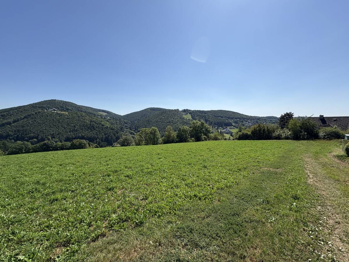 Top-Lage! Grundstück mit ca. 1.533 m² in Andritz - traumhafter Ausblick in ruhiger Sonnenlage! - Widok 3