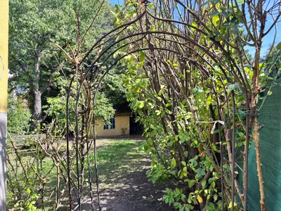 7-Zimmer-Haus mieten in Tulln – 170 m², € 1.950 – Bild 3 von 22