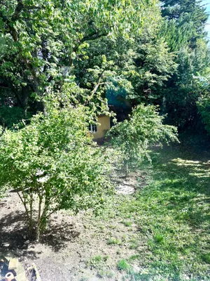 7-Zimmer-Haus mieten in Tulln – 170 m², € 1.950 – Bild 21 von 22