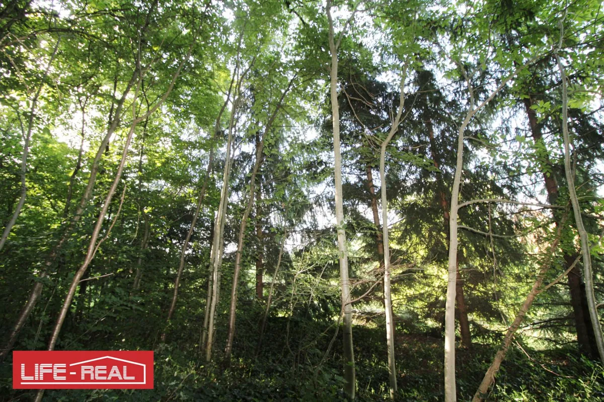 Vielseitiges Grundstück in wachstumsstarker Region – pohled 3