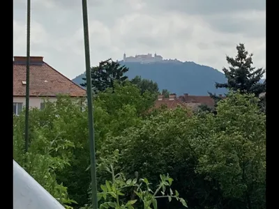 1-Zimmer-Wohnung mieten in Krems an der Donau – 40 m², € 693 – Bild 21 von 27