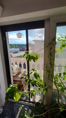 1-Zimmer-Wohnung mieten in Sankt Pölten Land – 30 m², € 430 – Bild 13 von 19