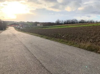 Immobilie kaufen in Mistelbach – 4 333 m², € 390.000 – Bild 3 von 6