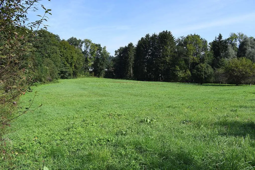 Sonnige Baugründe in Hausmannstätten, PRIVATVERKAUF - Ansicht 2
