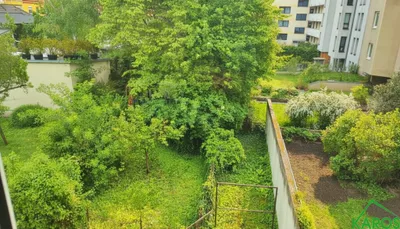 KLASSISCHE ZWEI-ZIMMER-ALTBAUWOHNUNG mit Miniküche und Grünblick! – Bild 2