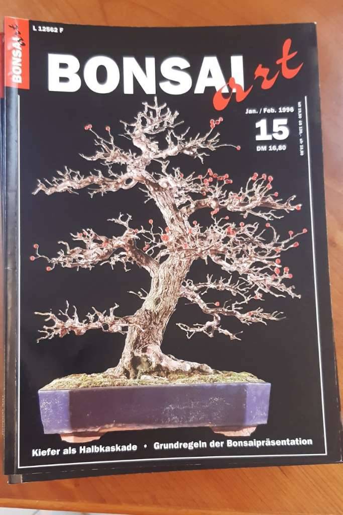 Bonsai kaufen - willhaben