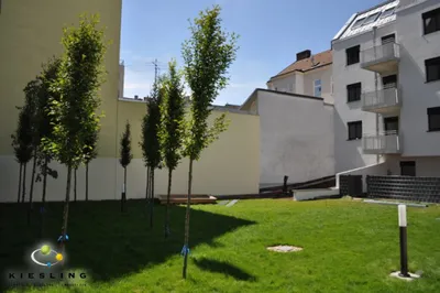 2-Zimmer-Wohnung mieten in Wien – 46,12 m², € 899 – Bild 17 von 20
