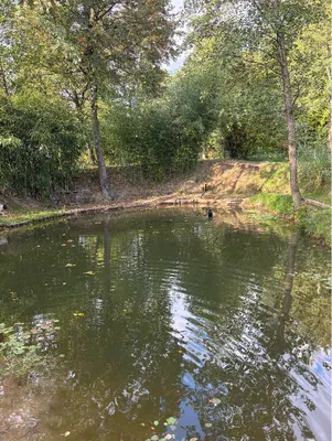 Immobilie mieten in Wolfsberg – 200 m², € 180 – Bild 4 von 5