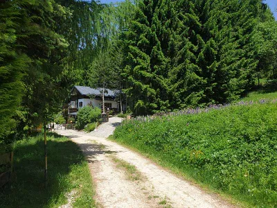10-Zimmer-Wohnung mieten in Wolfsberg – 175 m², € 850 – Bild 29 von 43